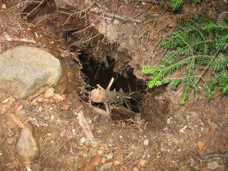 'nother shot of the hole to show depth