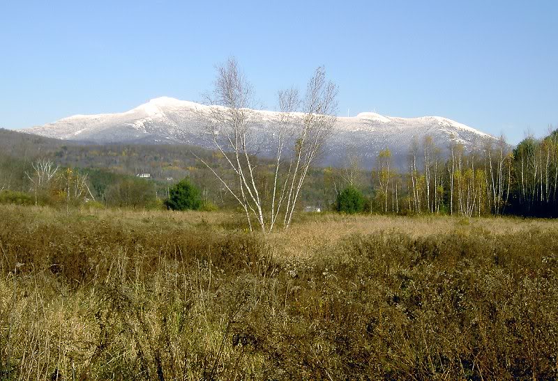 Mills Riverside Park, VT - lower trail area - p 0153