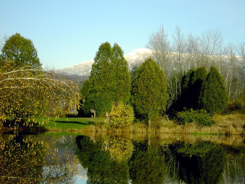 Pond, Mills Riverside Park, VT - P 0177