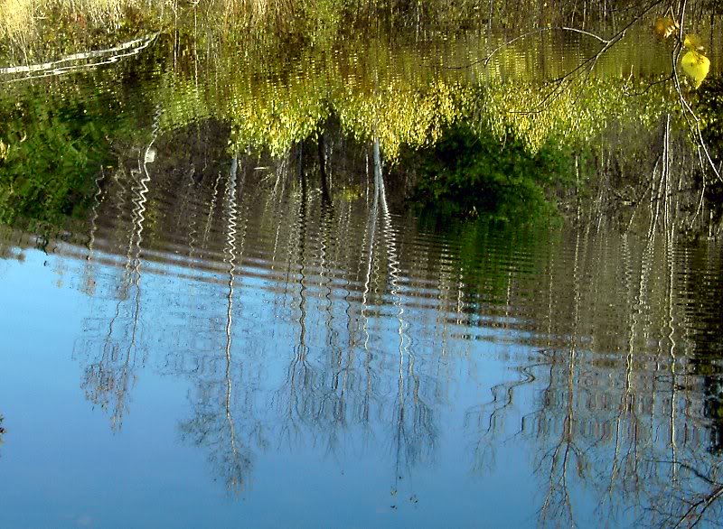 Pond, Mills Riverside Park, VT
