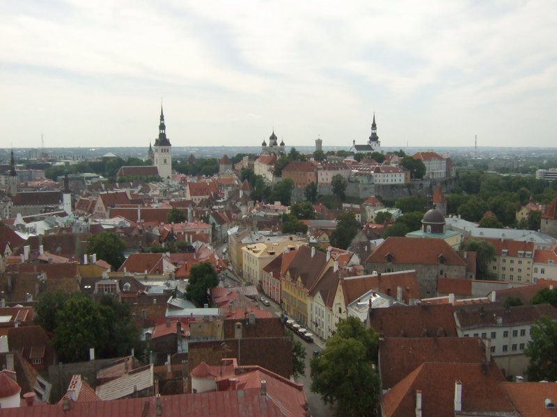 Tallinn Old Town under Oleviste Church Tower