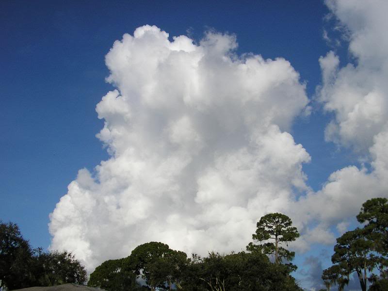 P9020004 Cumulo Nimbus Clouds