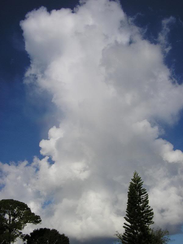 P9020005 Morning Clouds