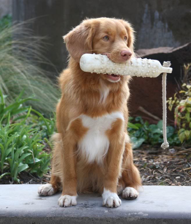 Finally at least I am doing something