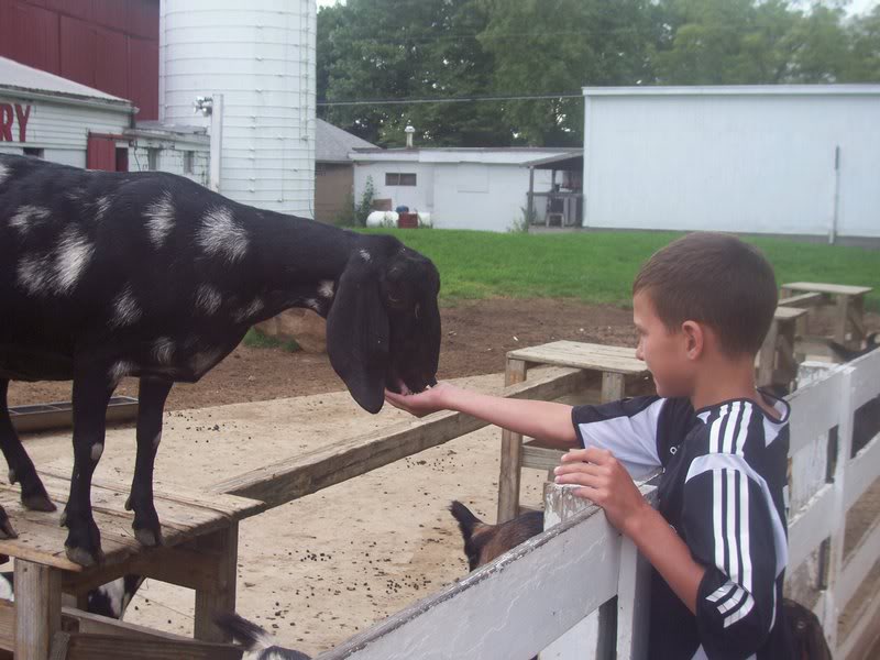 this is what they do in ohio.