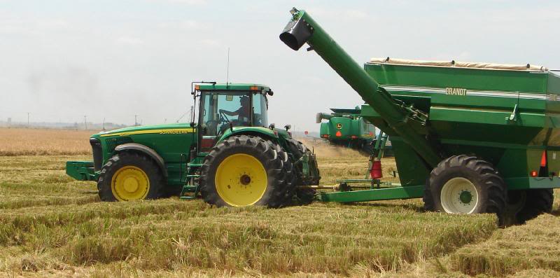 Arkansas Rice Harvest
