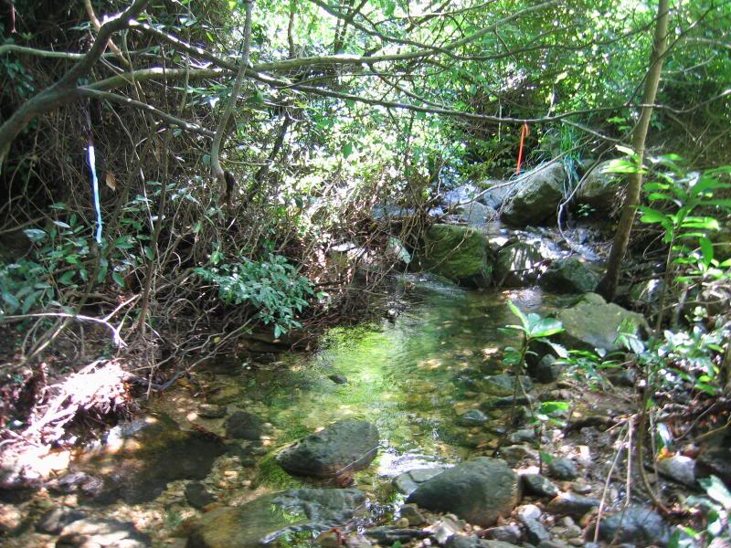 �J���j�W�|