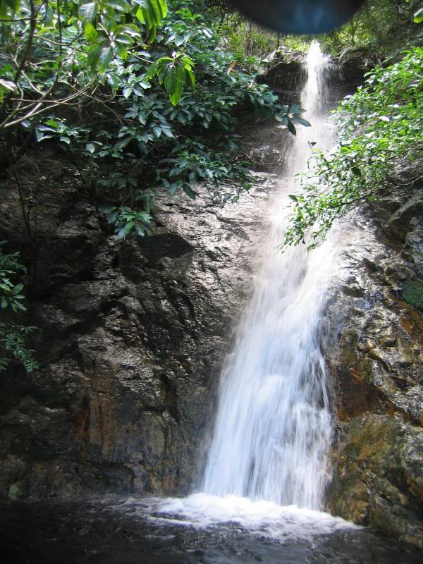 ���W�r���X��