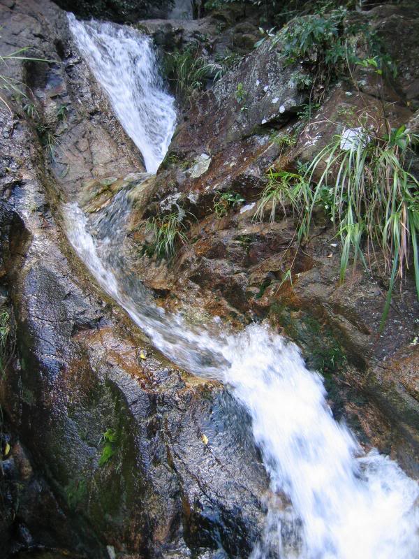 ���W����