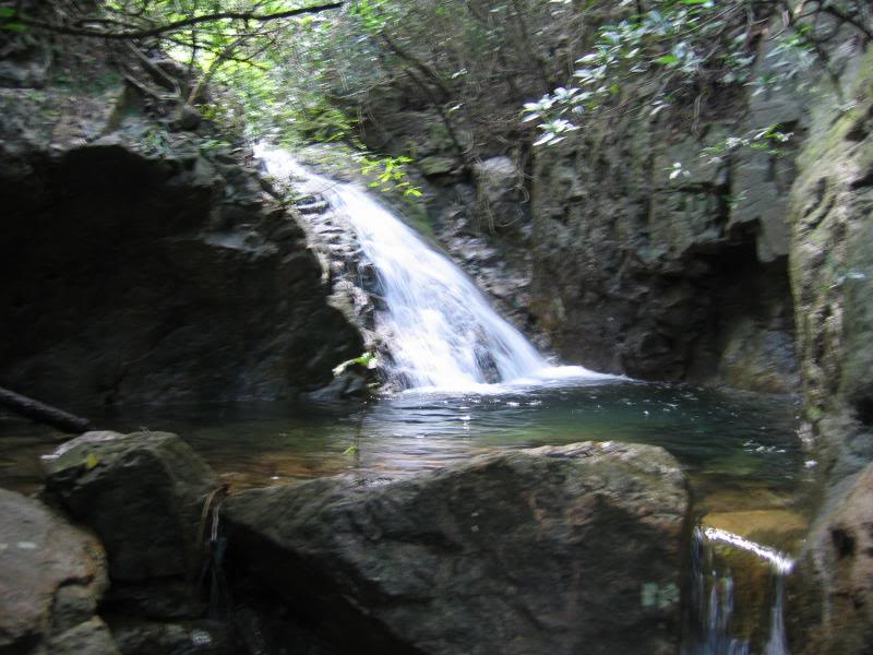 ���X�Y���p���p� r