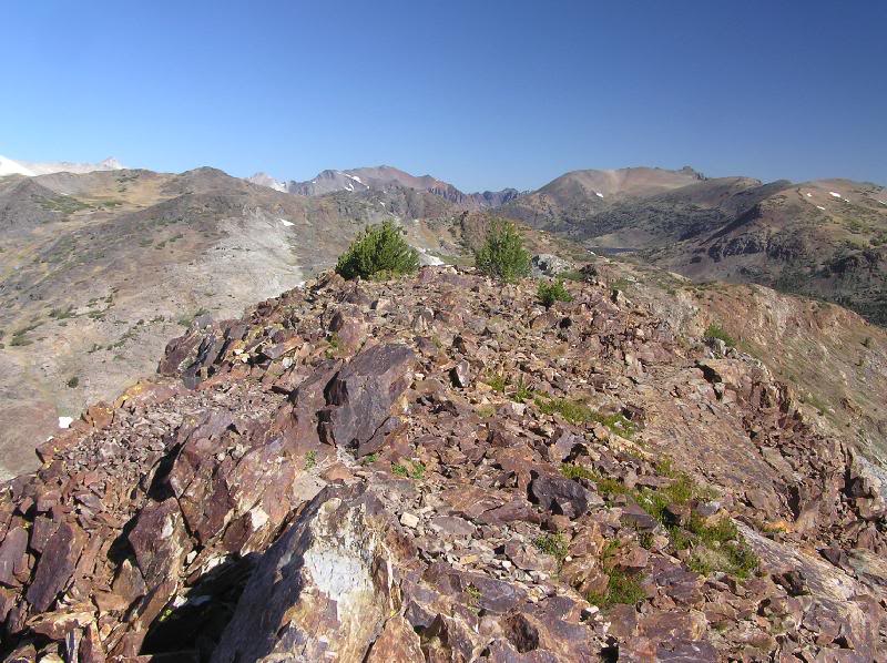 Gaylor Peak - a narrow summit