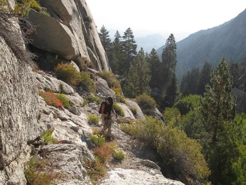 Colorful with the flowers