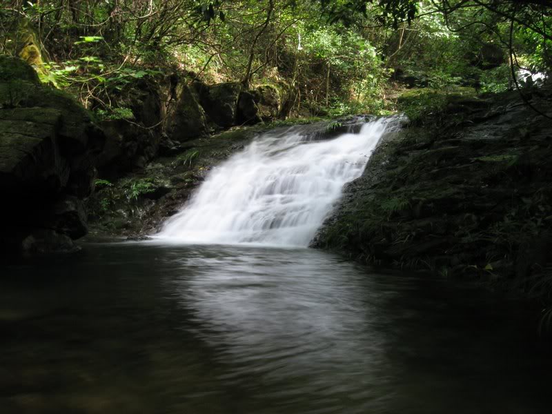 IMG_0285���s��� �����