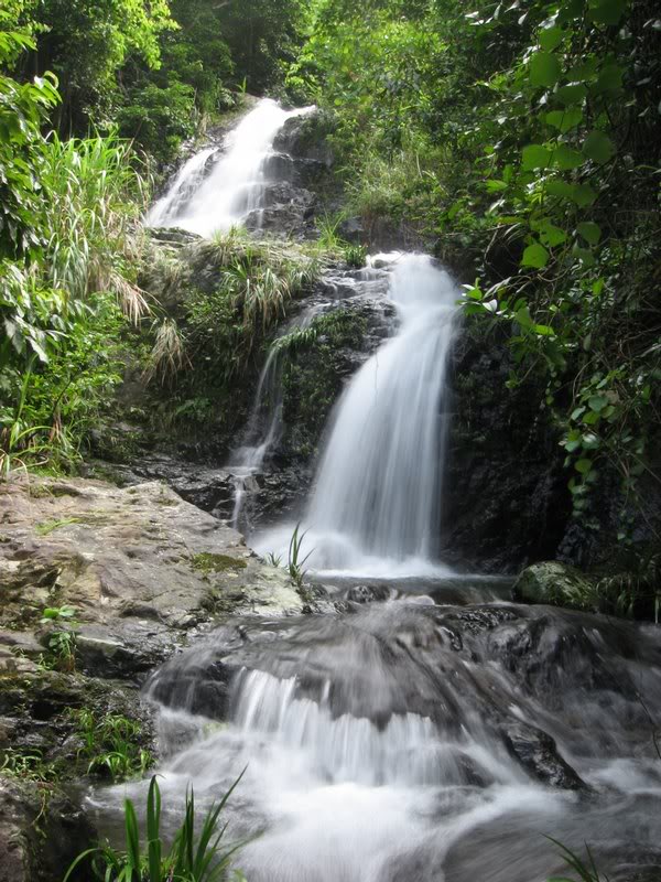 IMG_0297�D����� r