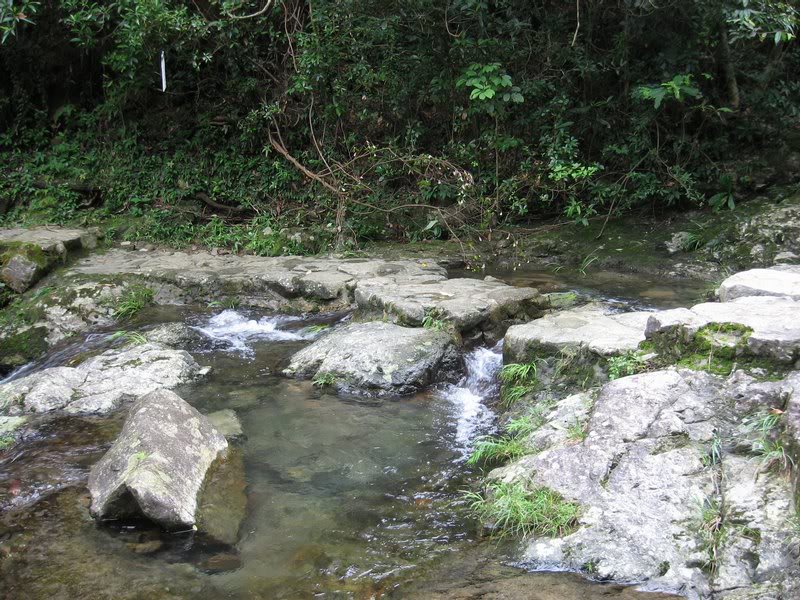 IMG_0301���s�j� D��������