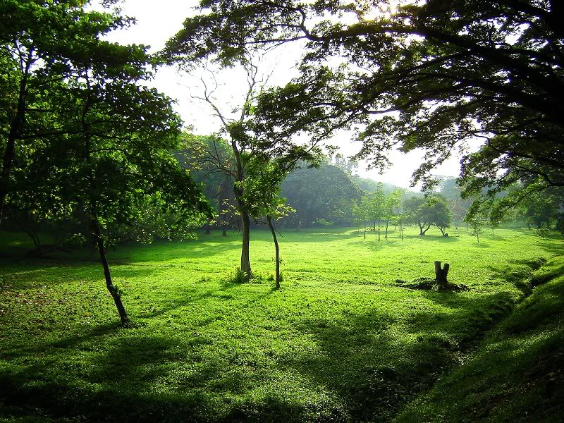 Fertile View for Fertile Minds, UP Diliman, Philippines