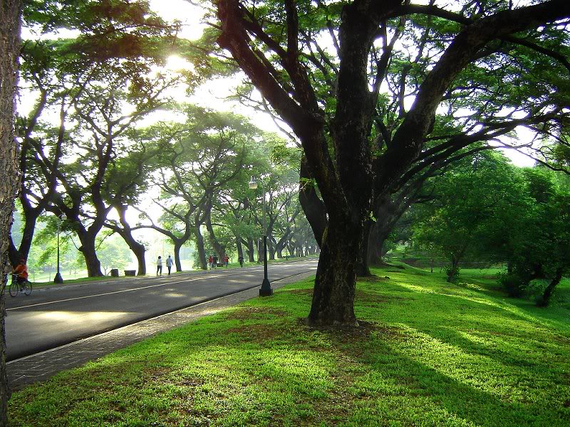 Morning Shadows, UP Diliman, Quezon City, Philippines