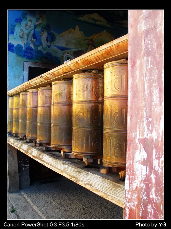 ���������,����� ����