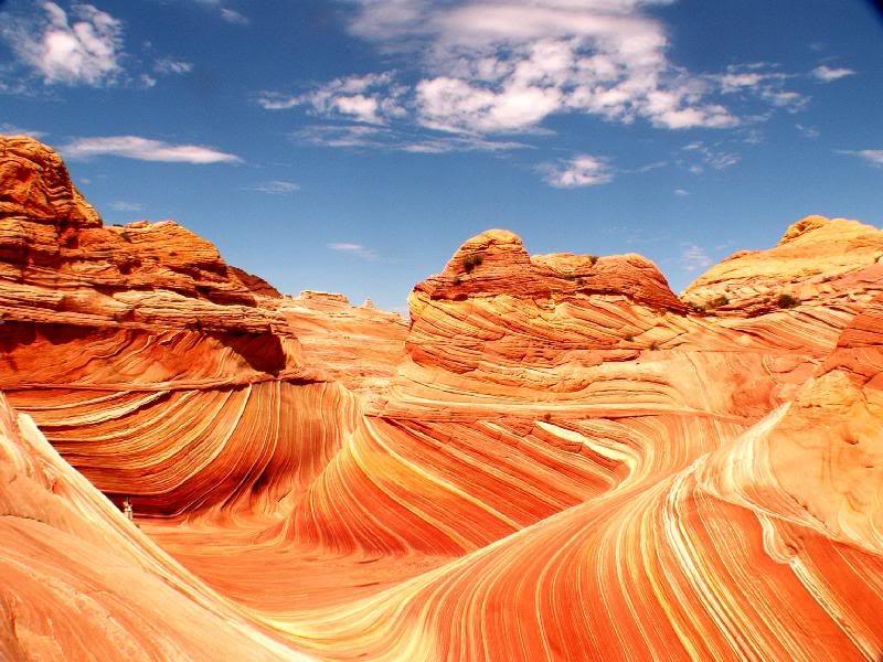 The Wave - Coyote Buttes (UT)