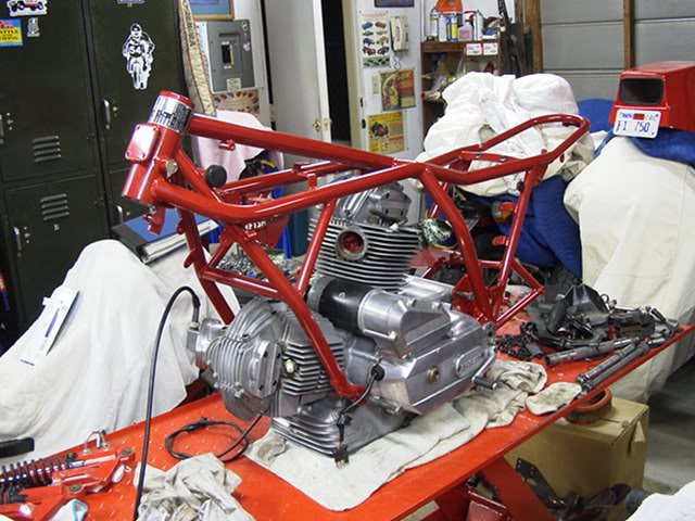 1981 Darmah , the other side