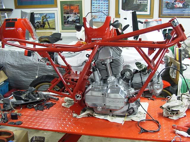 1981 Darmah view two