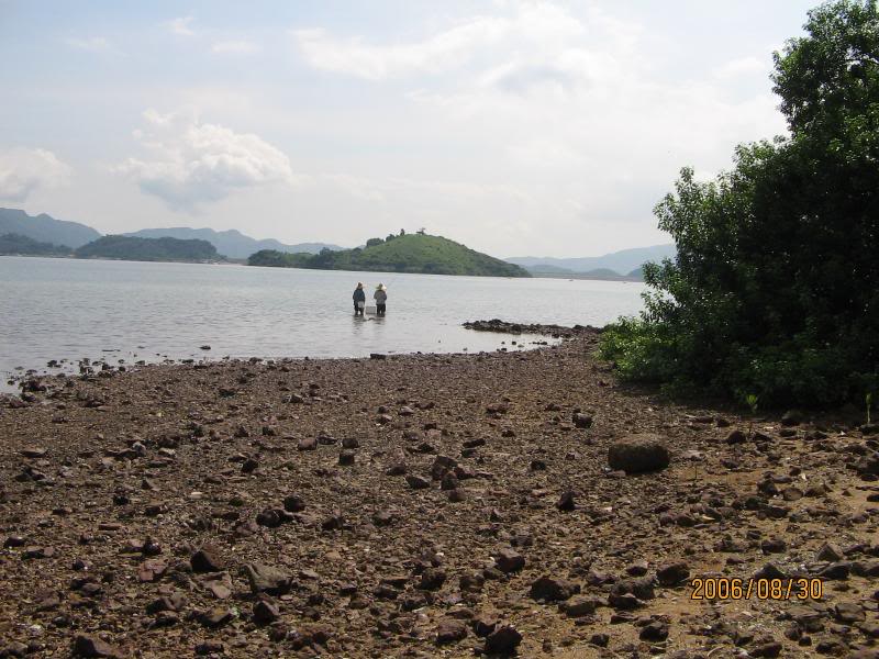 �����w60830 008