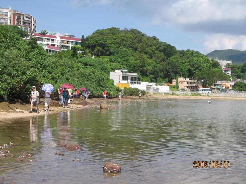 �����w60830 010