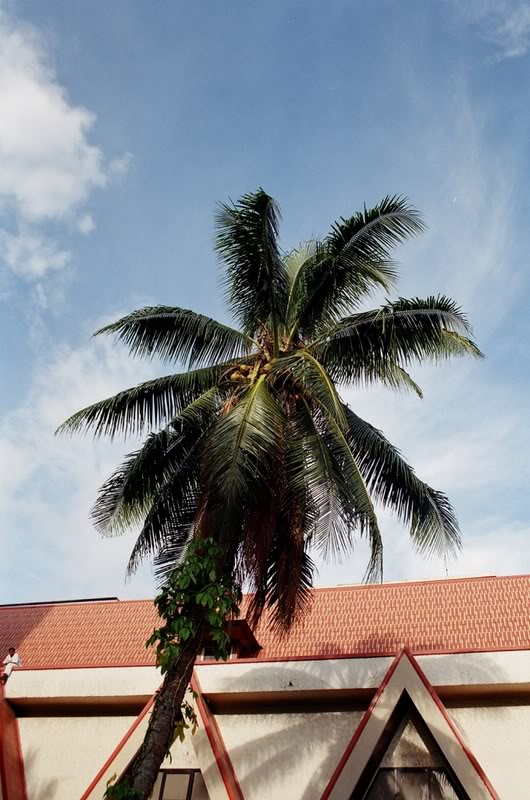 003.����������� ��P���l��