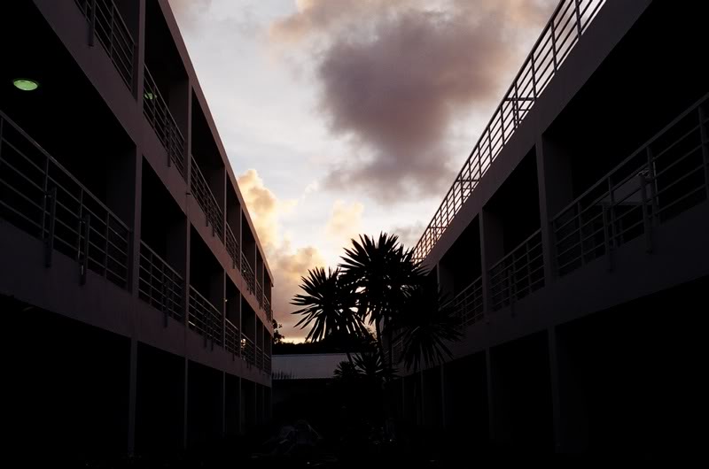 008.Papago���i� �