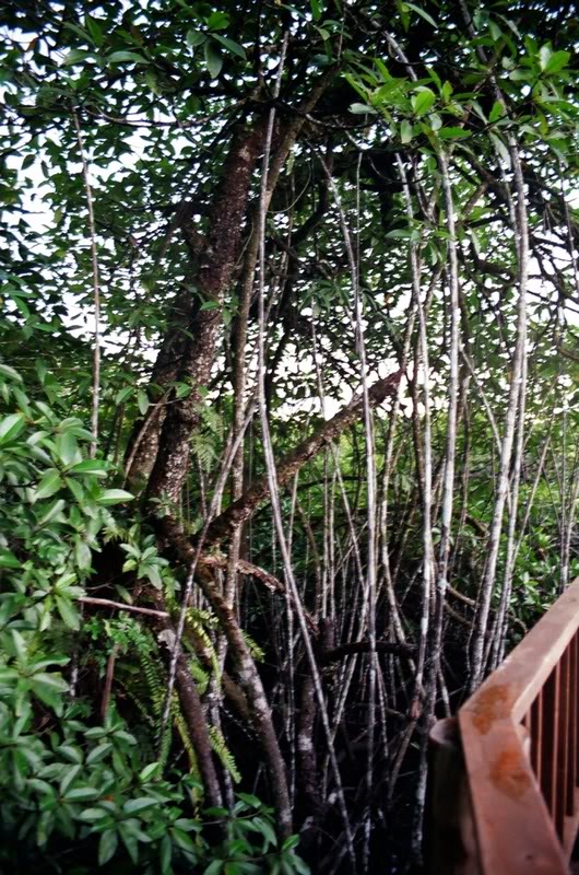 010.�����L