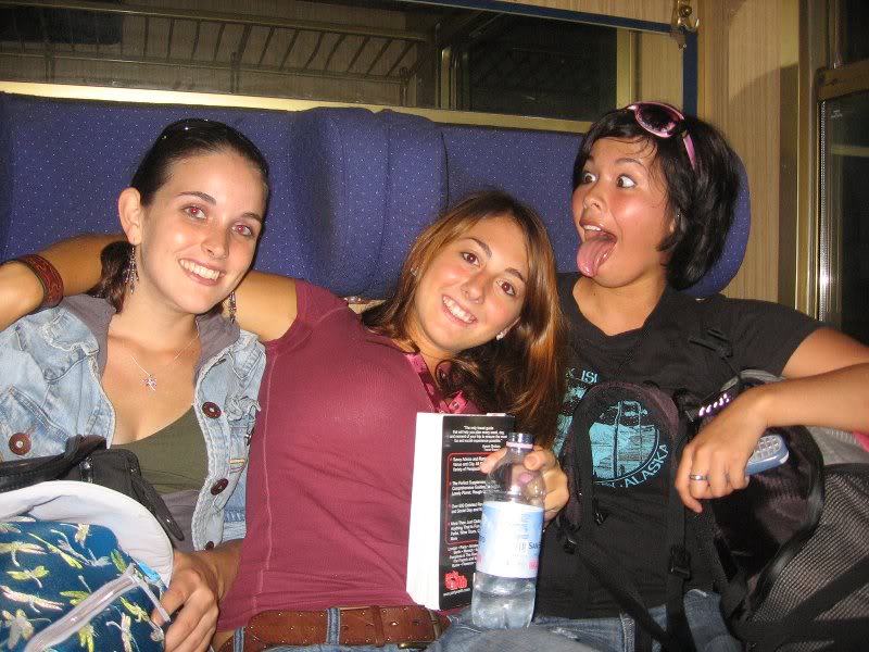 duechbag siting in train 265