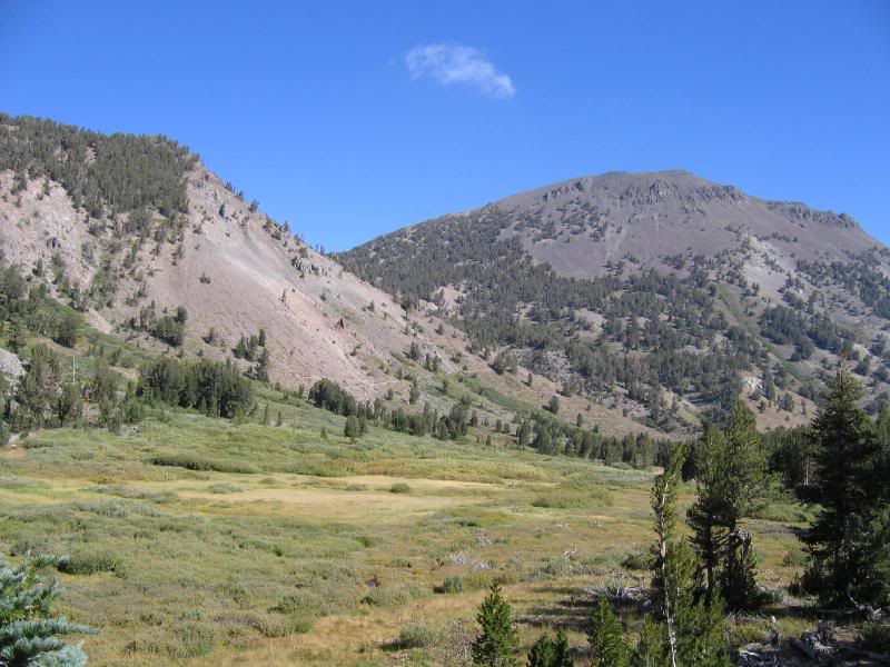 Meadow & Mt. Rose