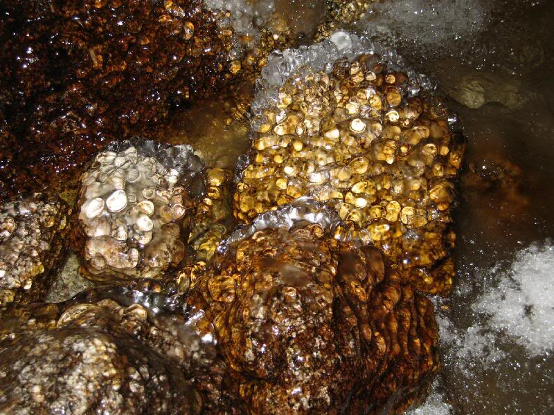 Zoomed in on the rocks