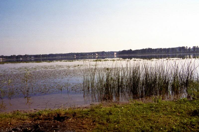 Marsh outside of Grutas Park