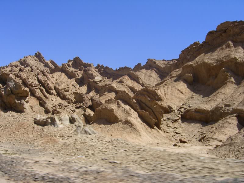 ������d������}� �~����