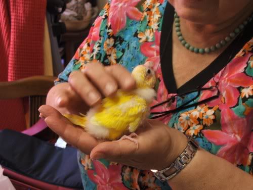 kimala con la "nonna" in attesa della pappa