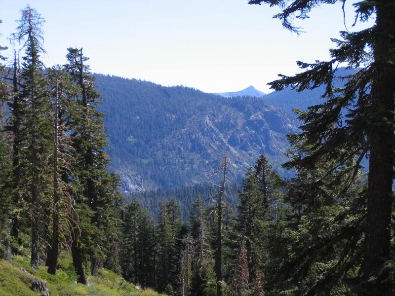 View looking towards Carson Pass