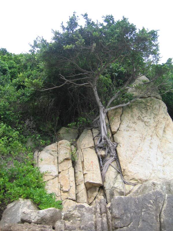 ���_�������R