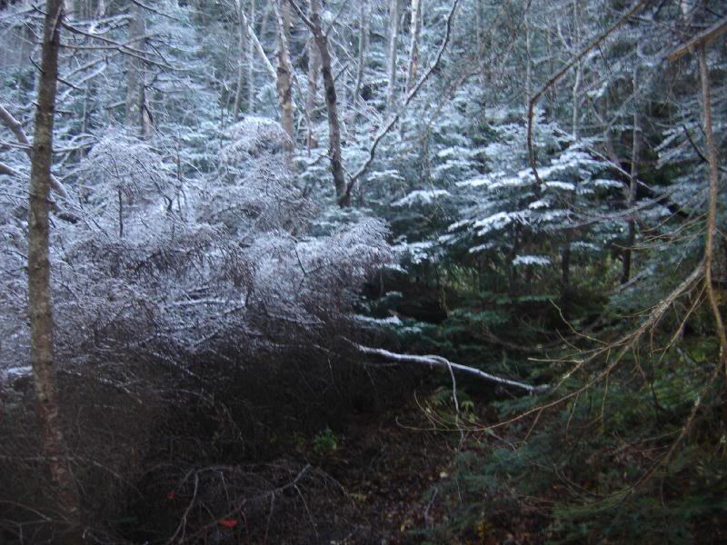 Lake Placid Weekend 047