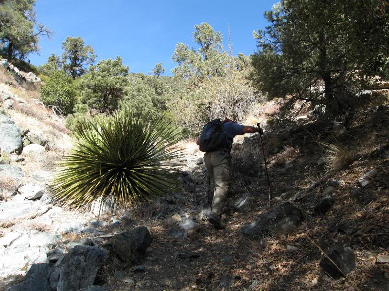 Got a little steeper the higher we went