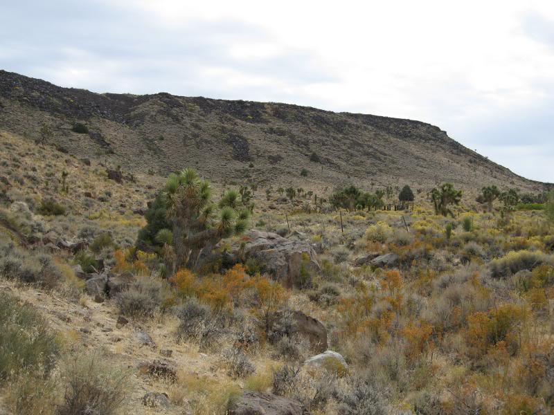 Corral in the distance