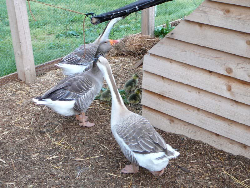 Day one and already walking around!