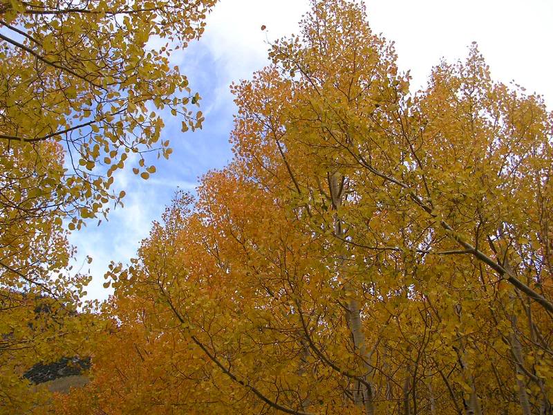 Got a patch of blue sky for just a minute