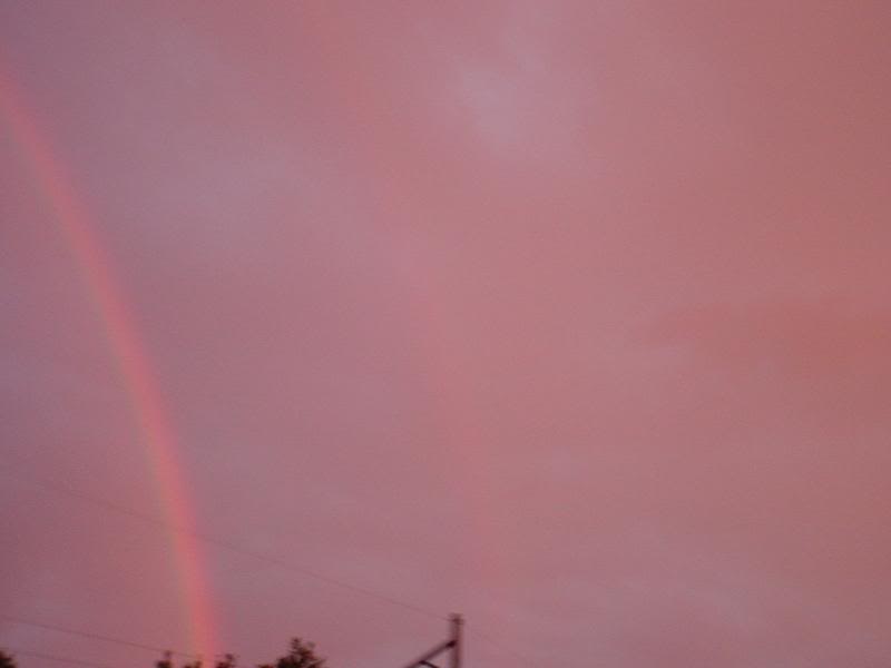 Fall 2006 Top Shop 004