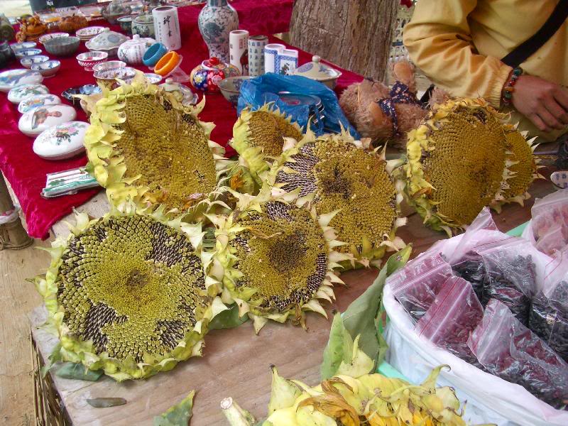 �����OD�������Y ���o�[