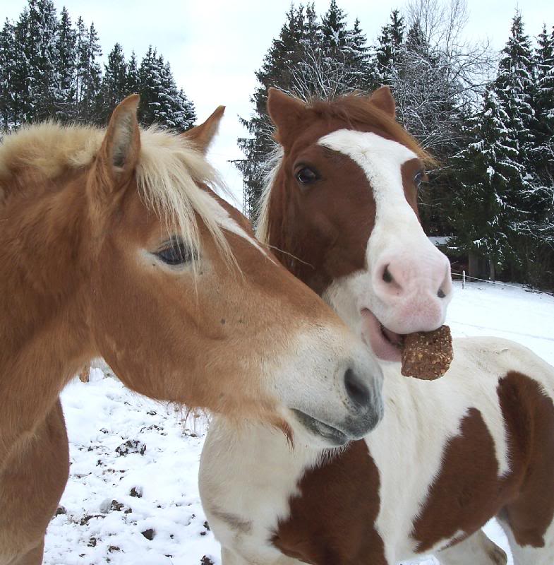 Itan and Sandro eating bread