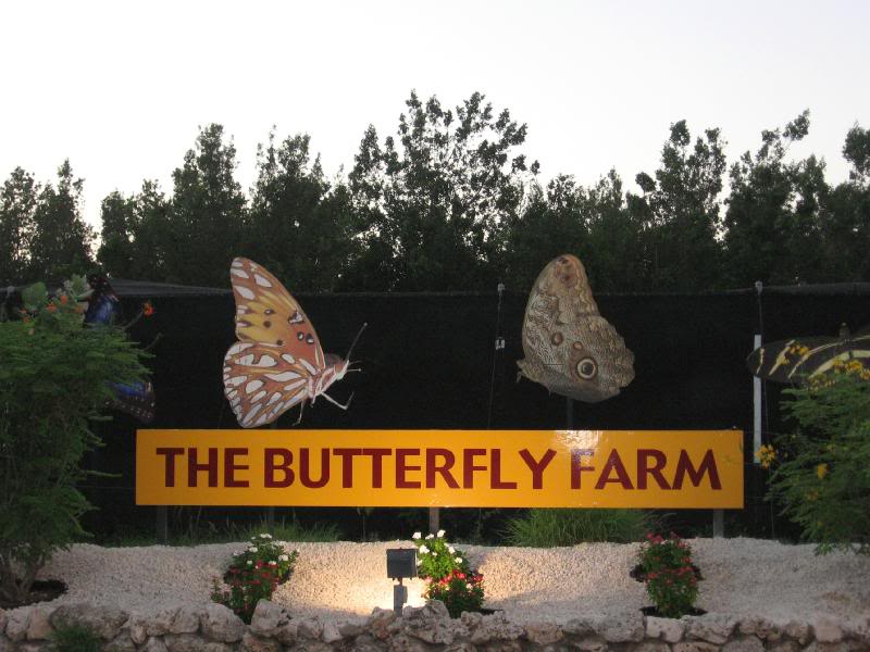 The Butterfly Farm