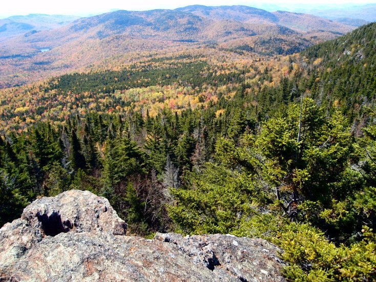 Sandwich Dome- outlooks 3