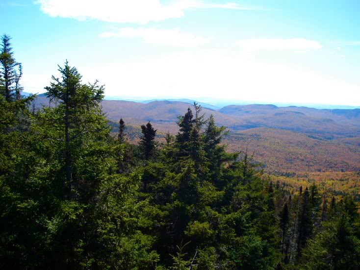 Sandwich Dome- outlooks 4