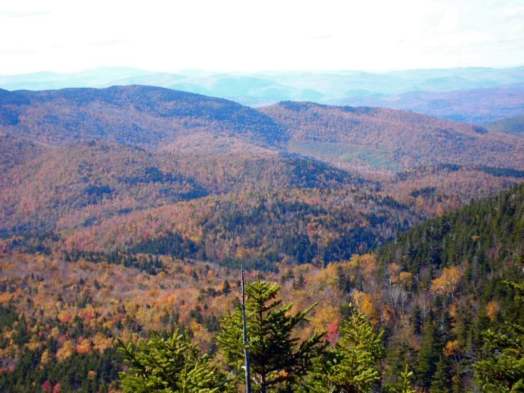 Sandwich Dome- outlooks 5